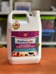 PathoLyte disinfectant 5L