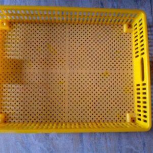 Hatchery Basket