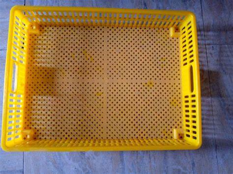 Hatchery Basket