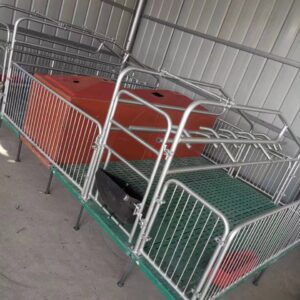 Pig farrowing crate for 2 mothers