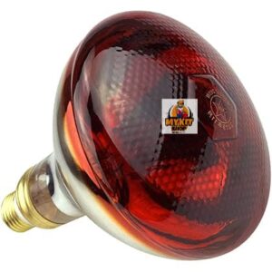 Infrared heat lamp for brooding therapy etc