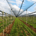 Cover Net 15m width
