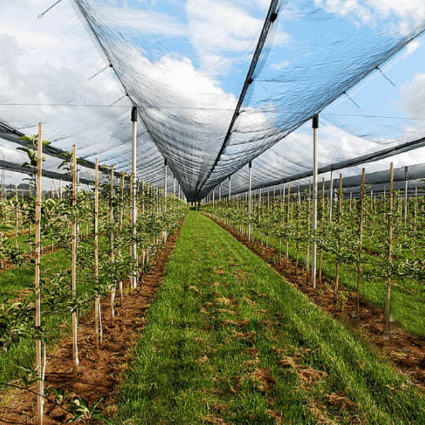 Cover Net 15m width
