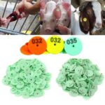 Round Tags