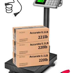Digital Platform Scale (300kg)
