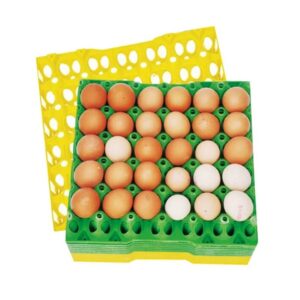 30 Holes Plastic Egg Crate