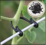 Fruit Support Fastener