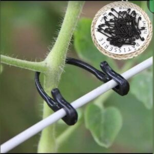 Fruit Support Fastener