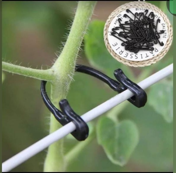 Fruit Support Fastener