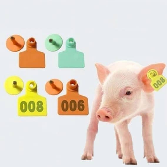 Animal Number Tags