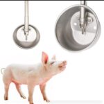 Pig Drinking Bowl