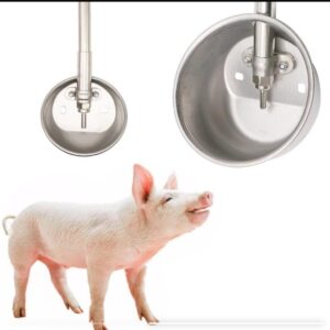 Pig Drinking Bowl