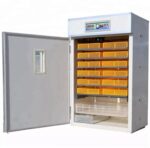 1,056 eggs Incubator