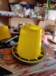 1.5kg feeder
