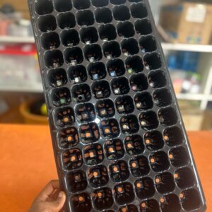 72cells Seedlings Tray