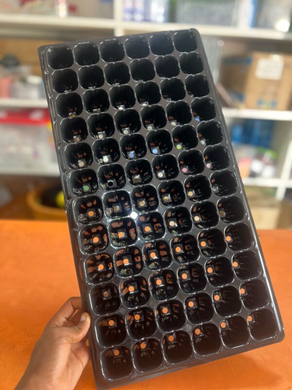 72cells Seedlings Tray