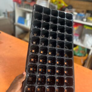 50cells Seedlings Tray