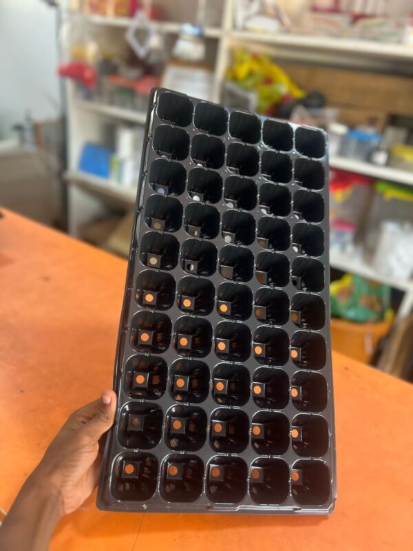 50cells Seedlings Tray
