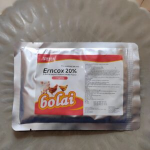 Bolai Erncox