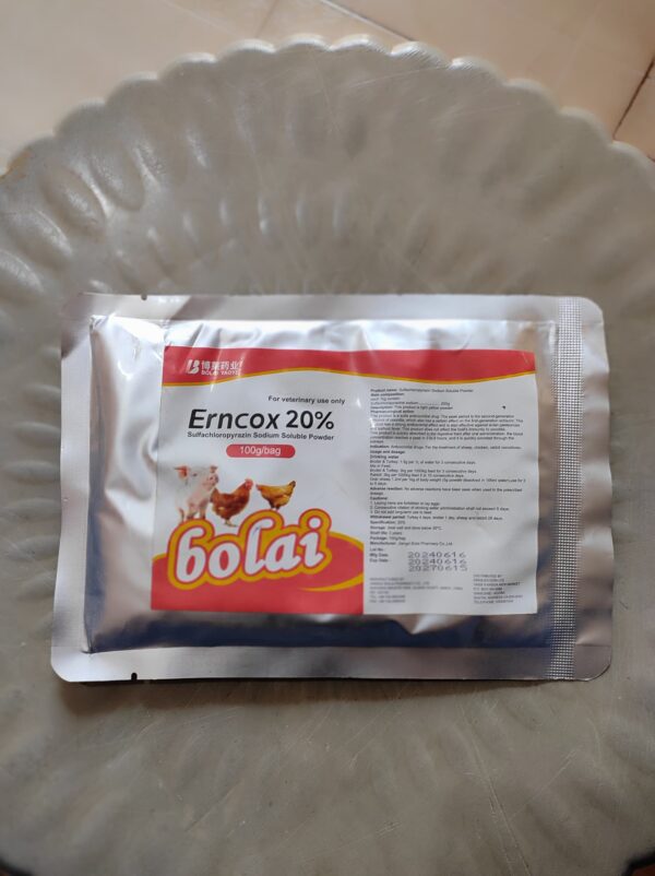 Bolai Erncox