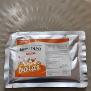 Bolai Ernseryl