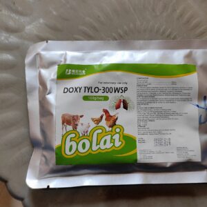 Bolai Doxy Tylo