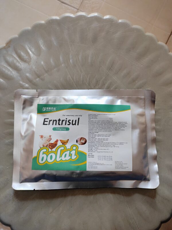 Bolai Erntrisul