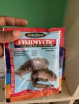 Fish cure