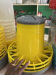 12kg feeder