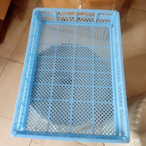 Medium Hatchery Basket