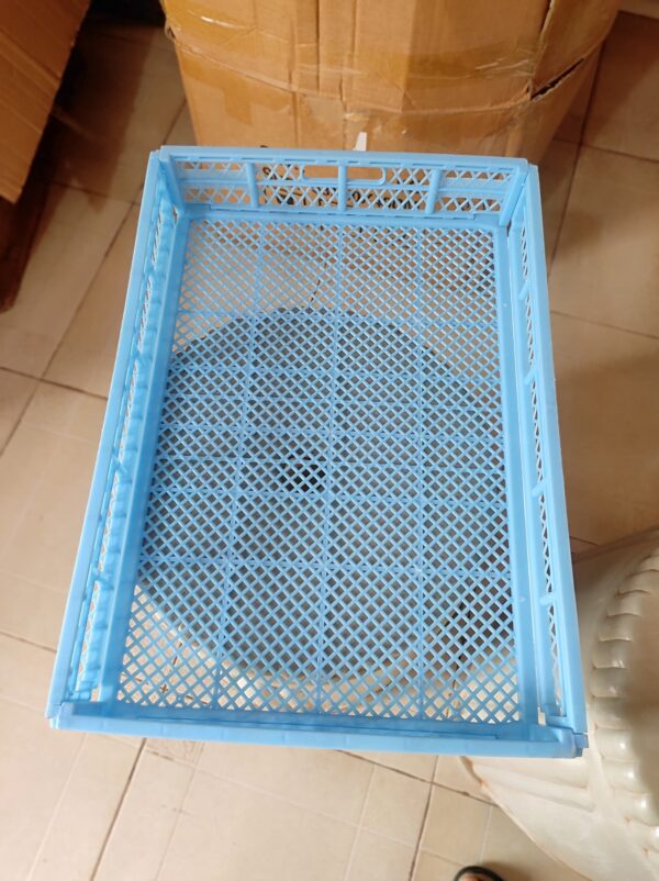 Medium Hatchery Basket