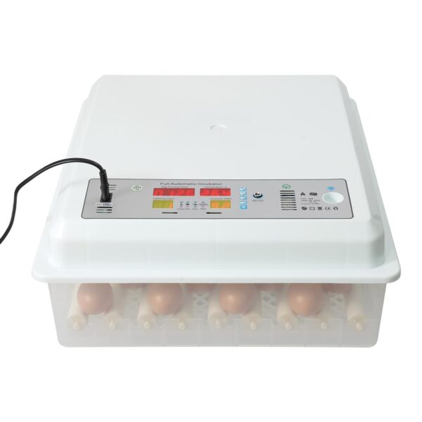 64 Egg Capacity Incubator for Poultry, Chicken & Duck Eggs