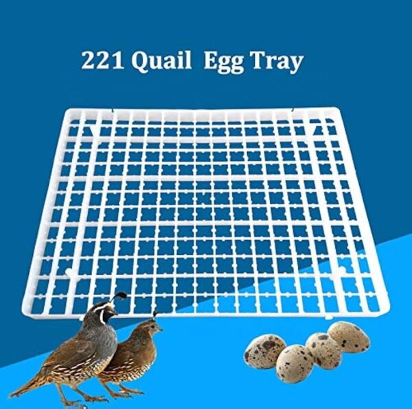 Quail Incubator Egg Tray