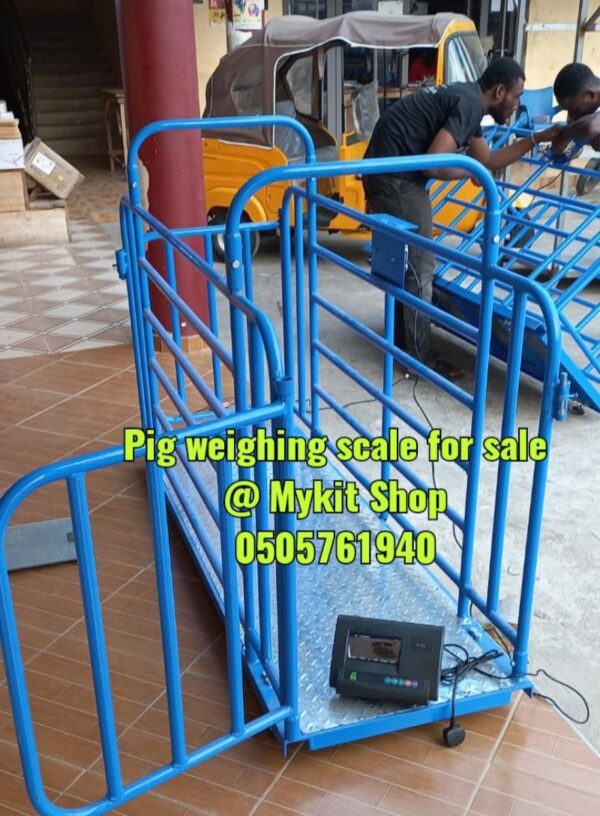 Pig Weighing Scale