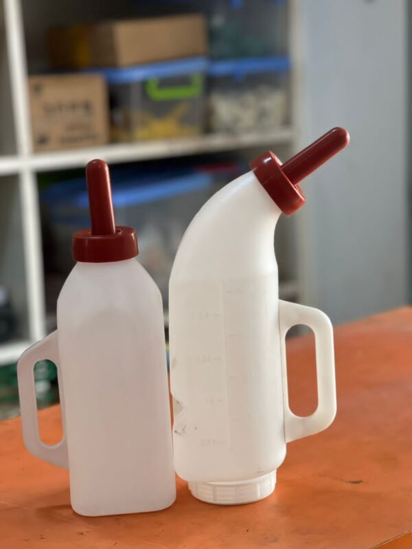 Calf Milking Bottle