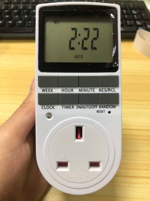 Timer Socket