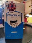 Penstrep 100ml