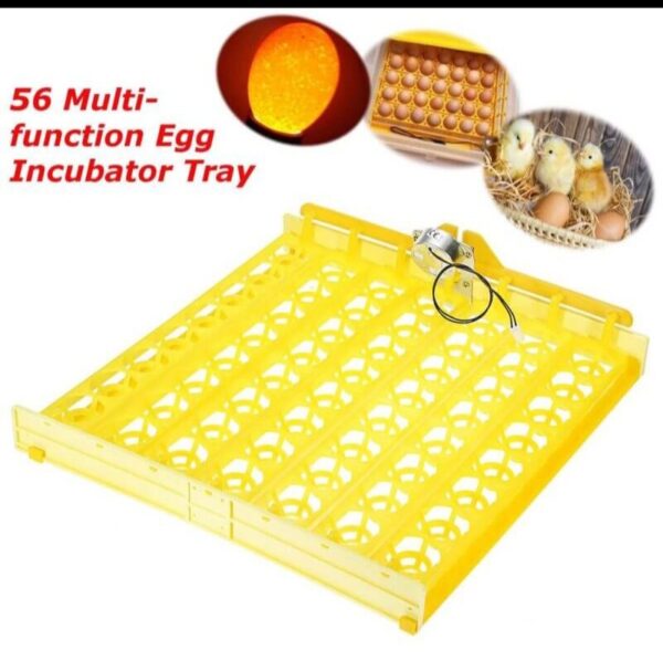 56 egg incubator tray