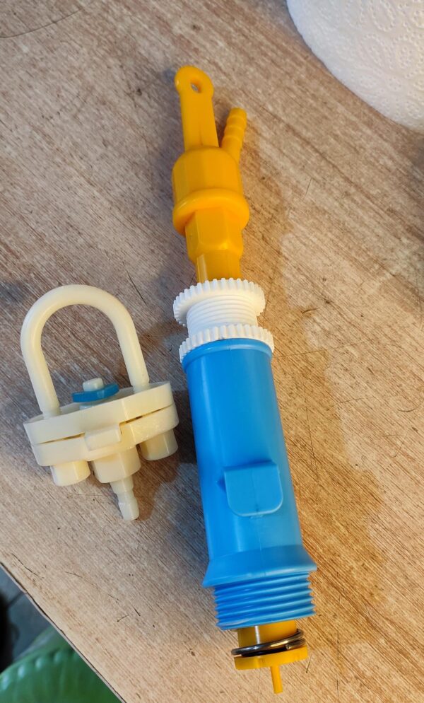 Blue Stem (Bell drinker part)