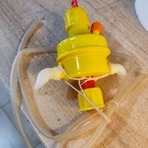 Yellow Stem(Bell drinker part)