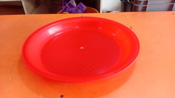 Small Plate Feeder