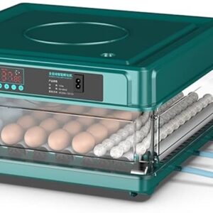 72-Egg Capacity Incubator for Poultry, Chicken & Duck Eggs