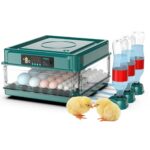 Dual Power 48egg Capacity Incubator