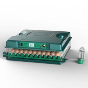 100 Eggs Dual Power Incubator