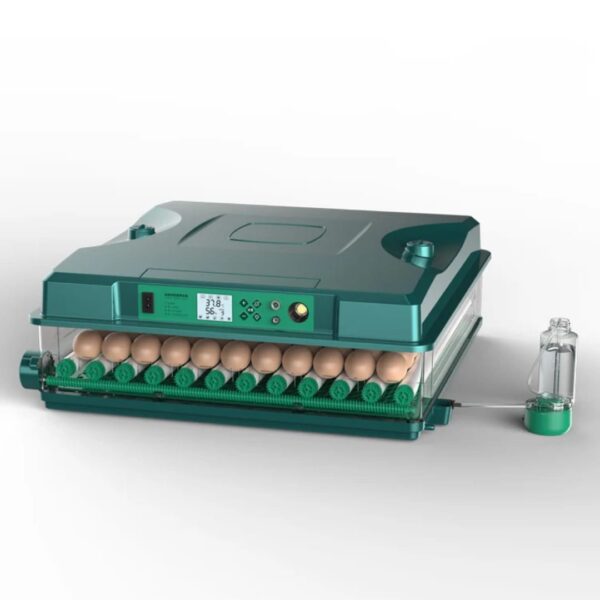100 Eggs Dual Power Incubator