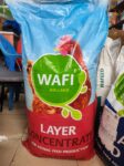 WAFI - LAYER CONCENTRATE 50KG
