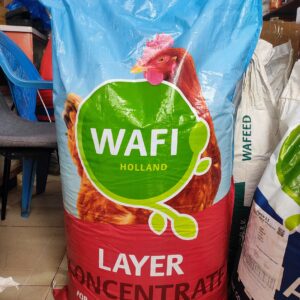 WAFI - LAYER CONCENTRATE 50KG