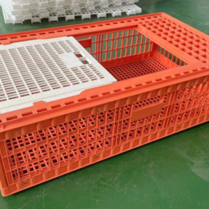 Big transport basket