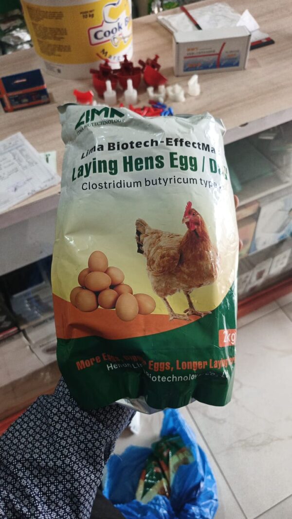 Lima Egg Booster