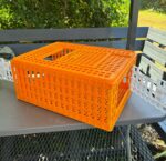 Medium Transport Basket